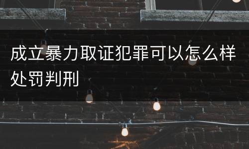 成立暴力取证犯罪可以怎么样处罚判刑