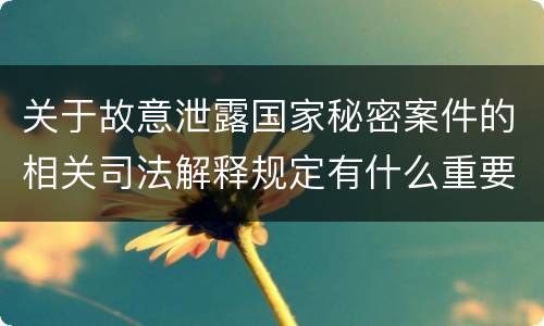 关于故意泄露国家秘密案件的相关司法解释规定有什么重要内容