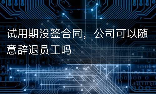 试用期没签合同，公司可以随意辞退员工吗