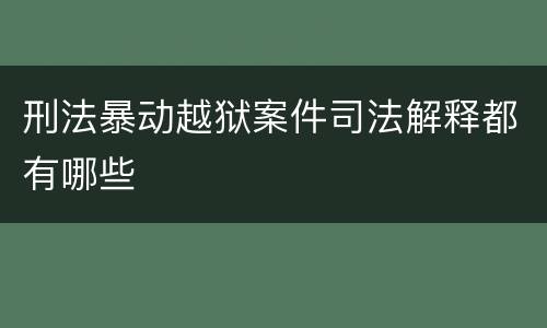 刑法暴动越狱案件司法解释都有哪些