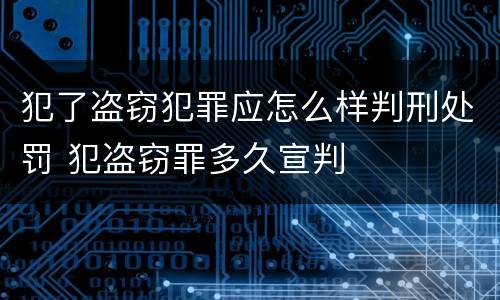 犯了盗窃犯罪应怎么样判刑处罚 犯盗窃罪多久宣判