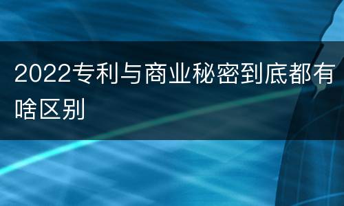 2022专利与商业秘密到底都有啥区别