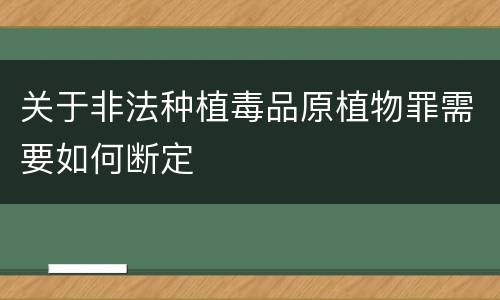 关于非法种植毒品原植物罪需要如何断定