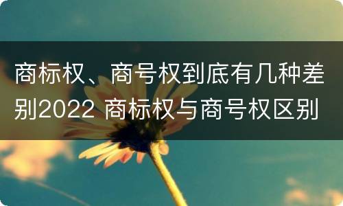 商标权、商号权到底有几种差别2022 商标权与商号权区别