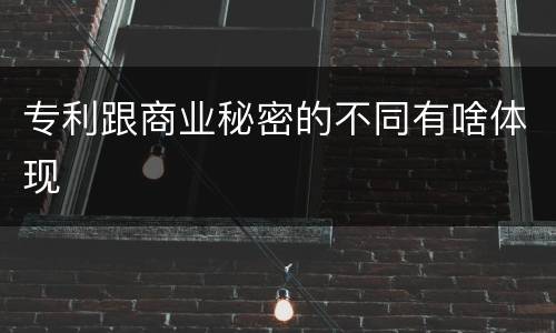 专利跟商业秘密的不同有啥体现