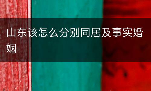 山东该怎么分别同居及事实婚姻