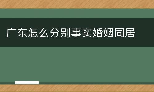 广东怎么分别事实婚姻同居