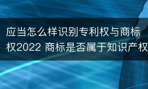 应当怎么样识别专利权与商标权2022 商标是否属于知识产权