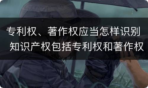 专利权、著作权应当怎样识别 知识产权包括专利权和著作权吗