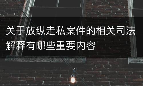 关于放纵走私案件的相关司法解释有哪些重要内容