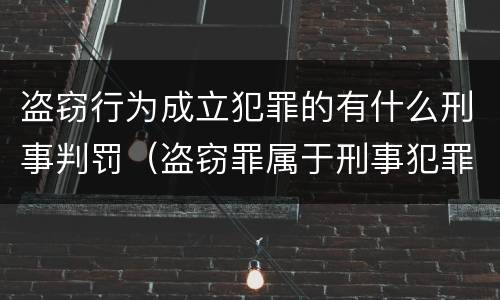 盗窃行为成立犯罪的有什么刑事判罚（盗窃罪属于刑事犯罪）