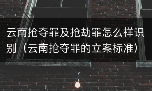 云南抢夺罪及抢劫罪怎么样识别（云南抢夺罪的立案标准）