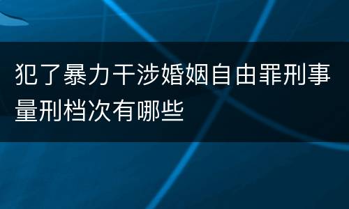 犯了暴力干涉婚姻自由罪刑事量刑档次有哪些