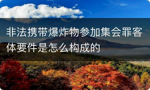 非法携带爆炸物参加集会罪客体要件是怎么构成的