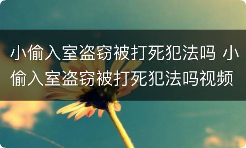 小偷入室盗窃被打死犯法吗 小偷入室盗窃被打死犯法吗视频