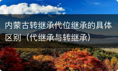 内蒙古转继承代位继承的具体区别（代继承与转继承）