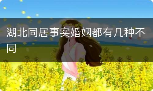 湖北同居事实婚姻都有几种不同