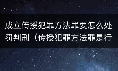 成立传授犯罪方法罪要怎么处罚判刑（传授犯罪方法罪是行为犯吗）