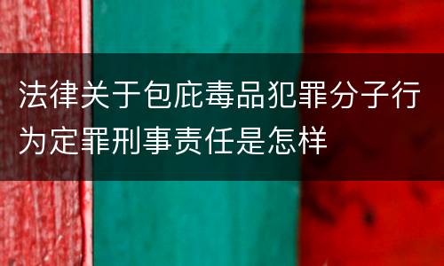 法律关于包庇毒品犯罪分子行为定罪刑事责任是怎样