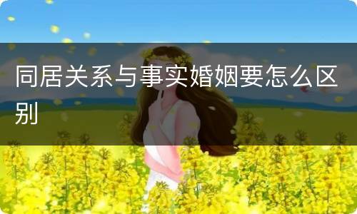 同居关系与事实婚姻要怎么区别