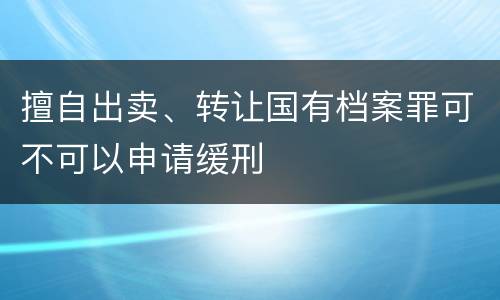 擅自出卖、转让国有档案罪可不可以申请缓刑