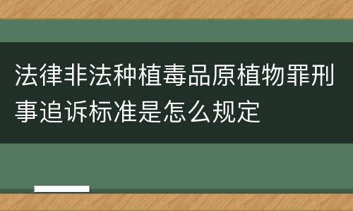 法律非法种植毒品原植物罪刑事追诉标准是怎么规定