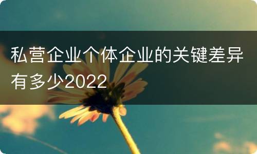 私营企业个体企业的关键差异有多少2022