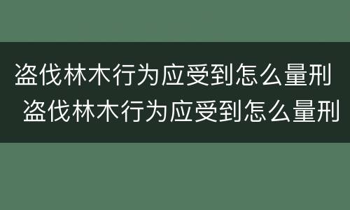 盗伐林木行为应受到怎么量刑 盗伐林木行为应受到怎么量刑的