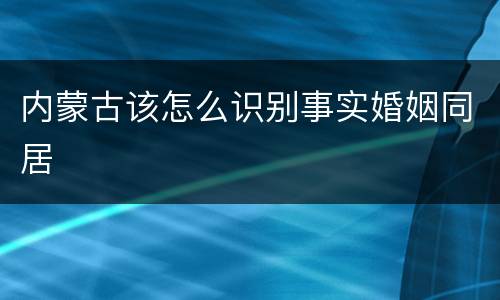 内蒙古该怎么识别事实婚姻同居