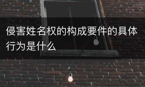 侵害姓名权的构成要件的具体行为是什么