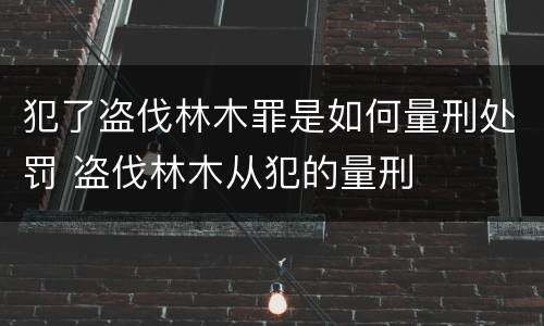 犯了盗伐林木罪是如何量刑处罚 盗伐林木从犯的量刑