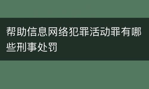 帮助信息网络犯罪活动罪有哪些刑事处罚