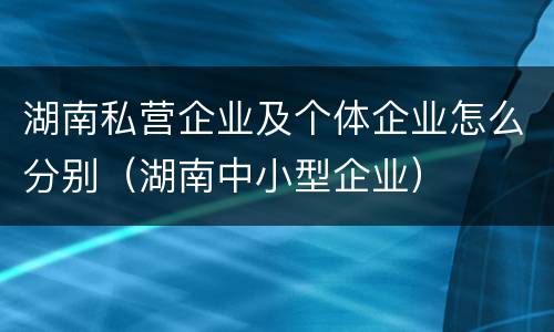 湖南私营企业及个体企业怎么分别（湖南中小型企业）