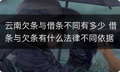 云南欠条与借条不同有多少 借条与欠条有什么法律不同依据