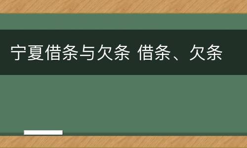 宁夏借条与欠条 借条、欠条