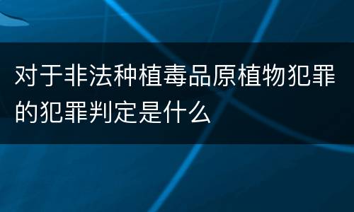 对于非法种植毒品原植物犯罪的犯罪判定是什么