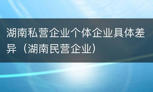 湖南私营企业个体企业具体差异（湖南民营企业）