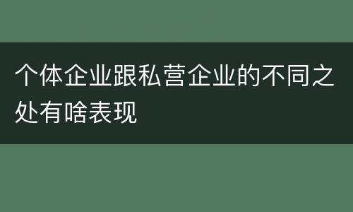 个体企业跟私营企业的不同之处有啥表现