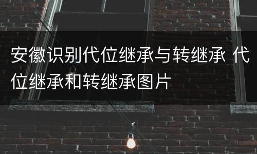 安徽识别代位继承与转继承 代位继承和转继承图片