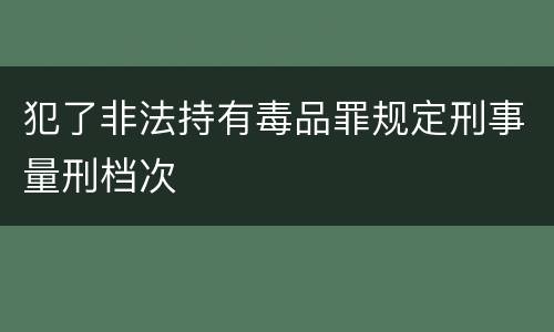 犯了非法持有毒品罪规定刑事量刑档次