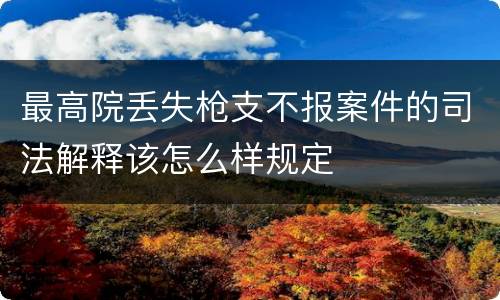 最高院丢失枪支不报案件的司法解释该怎么样规定