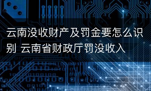 云南没收财产及罚金要怎么识别 云南省财政厅罚没收入