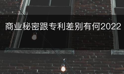 商业秘密跟专利差别有何2022