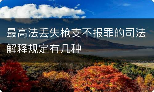 最高法丢失枪支不报罪的司法解释规定有几种