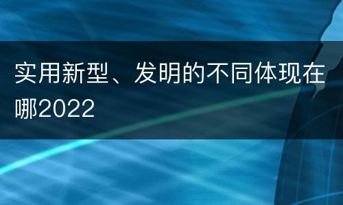 实用新型、发明的不同体现在哪2022