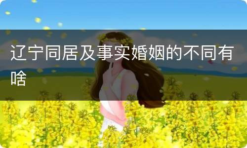 辽宁同居及事实婚姻的不同有啥