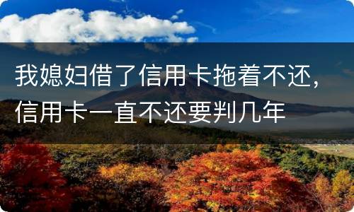 我媳妇借了信用卡拖着不还，信用卡一直不还要判几年