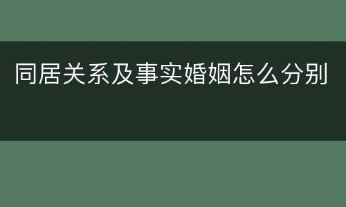 同居关系及事实婚姻怎么分别