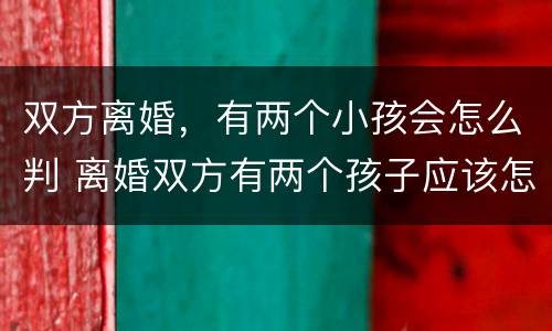 双方离婚，有两个小孩会怎么判 离婚双方有两个孩子应该怎么判