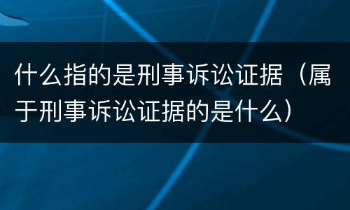 什么指的是刑事诉讼证据（属于刑事诉讼证据的是什么）